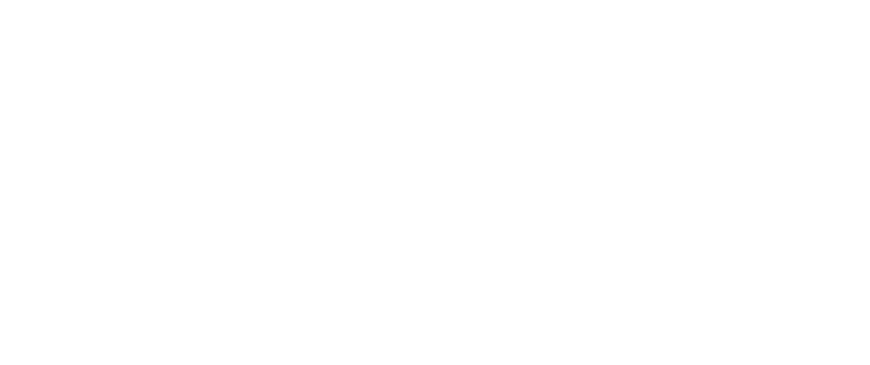 Bambu Labs